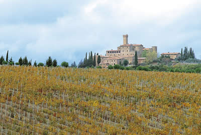 Le vigne di Castello Banfi